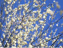 �����-�����