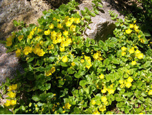 ��������� ���������� 20 ���