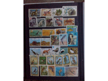 IMG 20150630 200414.jpg