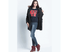 Pewter-FW14C ������ ������ ������.GIF