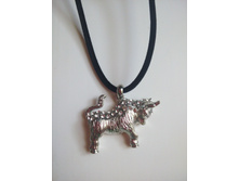 IMG 20150602 102528.jpg