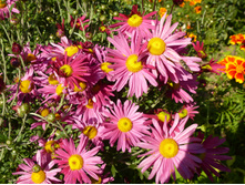 P1020838.JPG ���������� ��������  50�