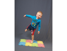 �������������� ��������� ������ ��� ����� Fosta F 0810