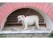 11289620 607515149391641 1348222600 n.jpg