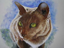 Db Dianne Whitney-Searle- Burmese1.jpg