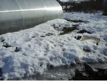 �������� 29.03.2015 039.jpg