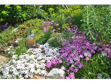 ���������� ������