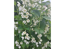 20150616 155750 Richtone(HDR).jpg