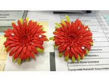 IMG 20150619 151231.jpg