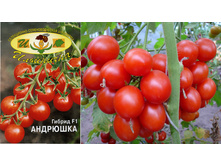 ���� �������� 18 ���..jpg