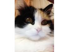 IMG 20150524 223241.jpg