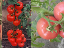 ������� 20 ���..jpg