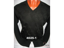 �������:4025-1