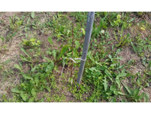 IMG 20150626 142824.jpg