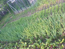 ������, ��� , ��������- ����