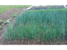 IMG 20150626 142319.jpg