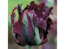 ���� ������ 138,60 �.jpg