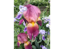 20150602 143446 Richtone(HDR).jpg