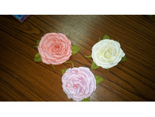 IMG 20150609 192043.jpg