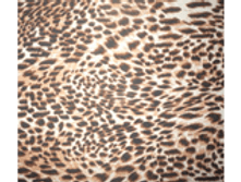 ������� ����������