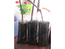 ��������� ������� ���������