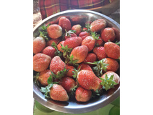 20150614 171310 Richtone(HDR).jpg