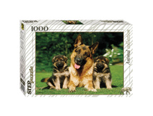 ����� 1000 ��. ������� ������� 222,25.jpg