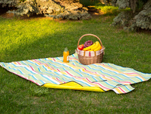 Sleepy Picnic Yellow.JPG
