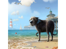 11401137 860833370672364 4956975728680079285 n.jpg