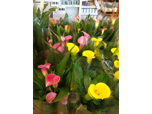 IMG 20150604 110640.jpg