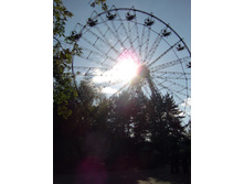 DSC05518.JPG