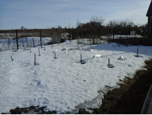 �������� 29.03.2015 034.jpg