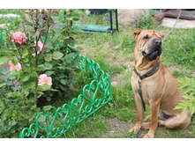 ������ - �������.jpg