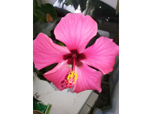 �������� 2