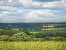  DSC2142.jpg