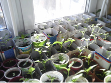 �������� 29.03.2015 046.jpg