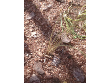 IMG 1206.JPG