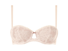 Da*wn Sp*otl*ig*ht W