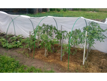 IMG 20150626 142420.jpg