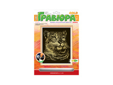 ������� � �������� ������ ������� ���� 72,22.jpg