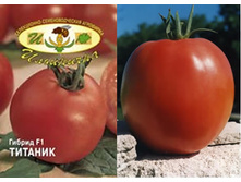 ������� 30 ���..jpg