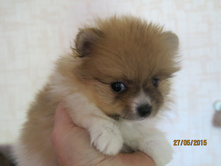 ������ 012.JPG