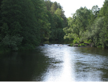 IMG 4327.JPG