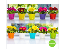 ������ ������� d 10 ��. (mix-������) ���� 33 �.png