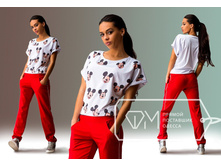 ������ ��� 4267