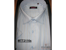 �������:MTT2116s