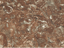 ������� ����������.jpg