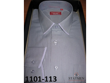 �������:1101-113