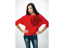 ��8�-0798 ������ � �������� ������ ������� ���� �������.jpg