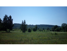 IMG 20150614 124456.jpg